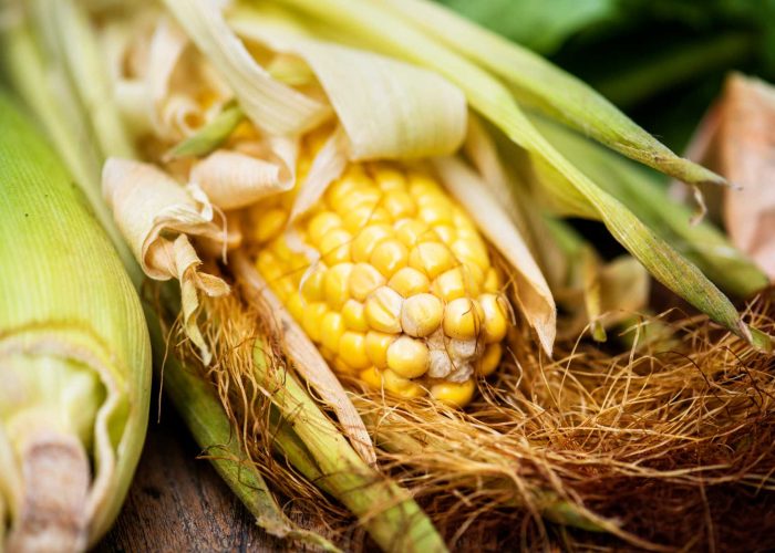 aerial-view-of-sweencorn-cob-on-wooden-background-2025-02-10-08-40-00-utc